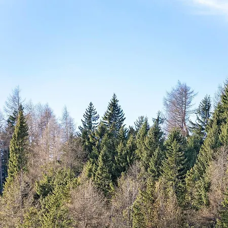 Madesimo Ski Suite Appartement *